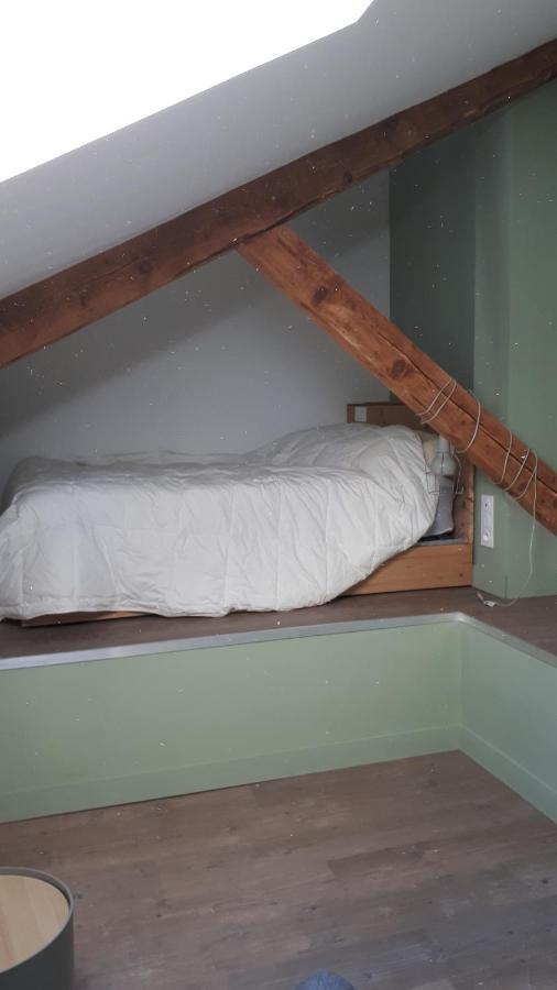 דירות Le Chartreuse / Rent4Night גרנובל מראה חיצוני תמונה
