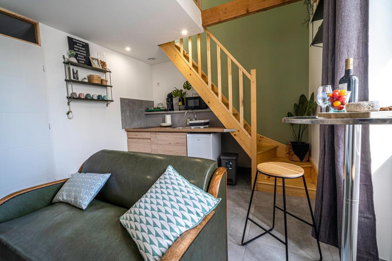 דירות Le Chartreuse / Rent4Night גרנובל מראה חיצוני תמונה